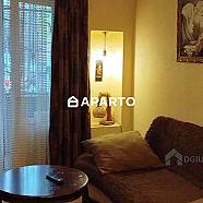 1 ლარი ღამე, ბინა დღიურად