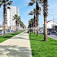 100 ლარი ღამე, ბინა დღიურად