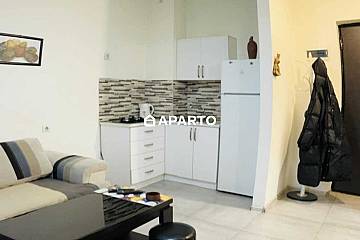 30 ლარი ღამე, ბინა დღიურად