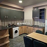 80 ლარი ღამე, ბინა დღიურად