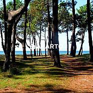 100 ლარი ღამე, ბინა დღიურად