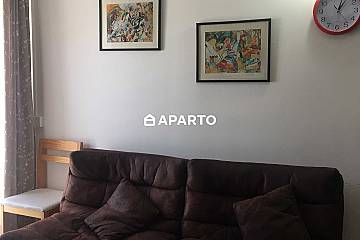 150 ლარი ღამე, ბინა დღიურად