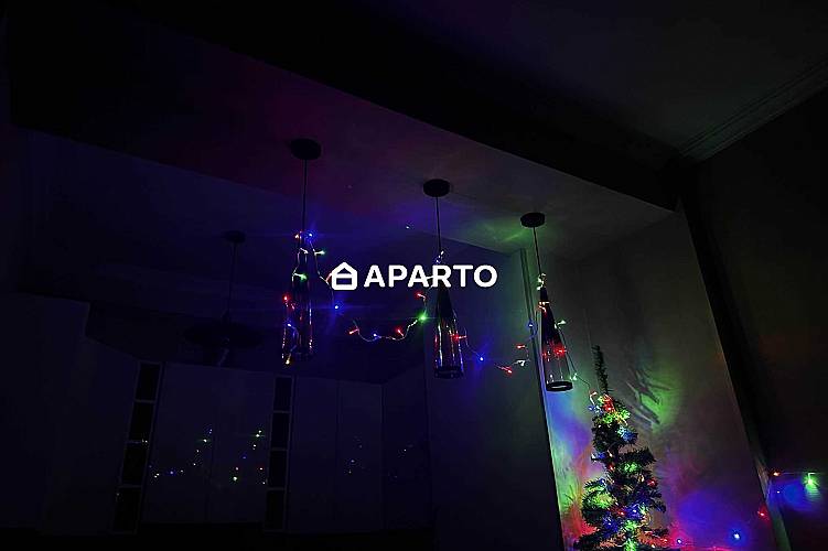 50 ლარი ღამე, ბინა დღიურად