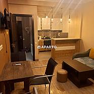 50 ლარი ღამე, ბინა დღიურად