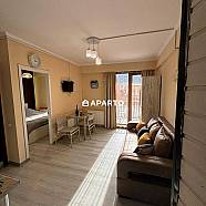 150 ლარი ღამე, ბინა დღიურად