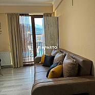 150 ლარი ღამე, ბინა დღიურად