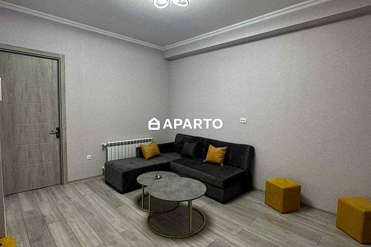 70 ლარი ღამე, ბინა დღიურად