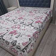 70 ლარი ღამე, ბინა დღიურად