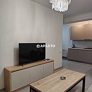 50 ლარი ღამე, ბინა დღიურად