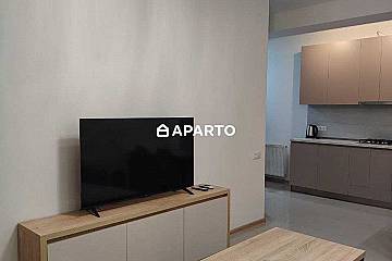 50 ლარი ღამე, ბინა დღიურად