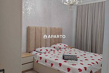 60 ლარი ღამე, ბინა დღიურად