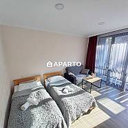 30 ლარი ღამე, ბინა დღიურად