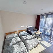 30 ლარი ღამე, ბინა დღიურად