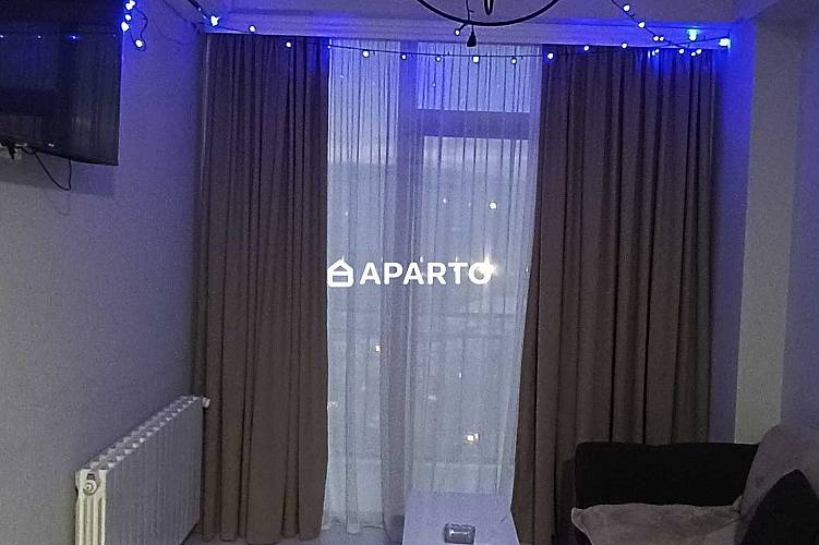 30 ლარი ღამე, ბინა დღიურად