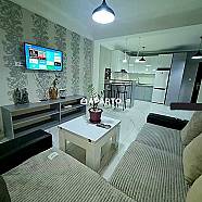 60 ლარი ღამე, ბინა დღიურად