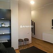 110 ლარი ღამე, ბინა დღიურად