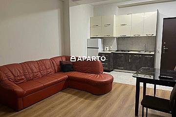 70 ლარი ღამე, ბინა დღიურად