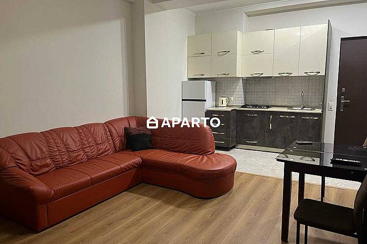 70 ლარი ღამე, ბინა დღიურად