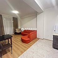 70 ლარი ღამე, ბინა დღიურად