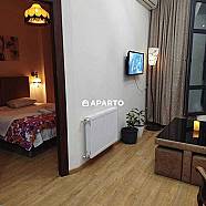 1 ლარი ღამე, ბინა დღიურად