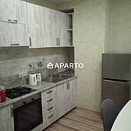 80 ლარი ღამე, ბინა დღიურად