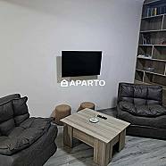 120 ლარი ღამე, ბინა დღიურად