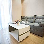 50 ლარი ღამე, ბინა დღიურად