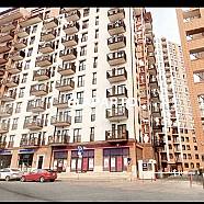 50 ლარი ღამე, ბინა დღიურად