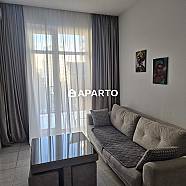 50 ლარი ღამე, ბინა დღიურად