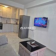 50 ლარი ღამე, ბინა დღიურად