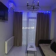 30 ლარი ღამე, ბინა დღიურად