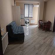 120 ლარი ღამე, ბინა დღიურად