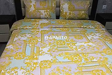 30 ლარი ღამე, ბინა დღიურად