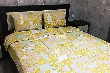 30 ლარი ღამე, ბინა დღიურად