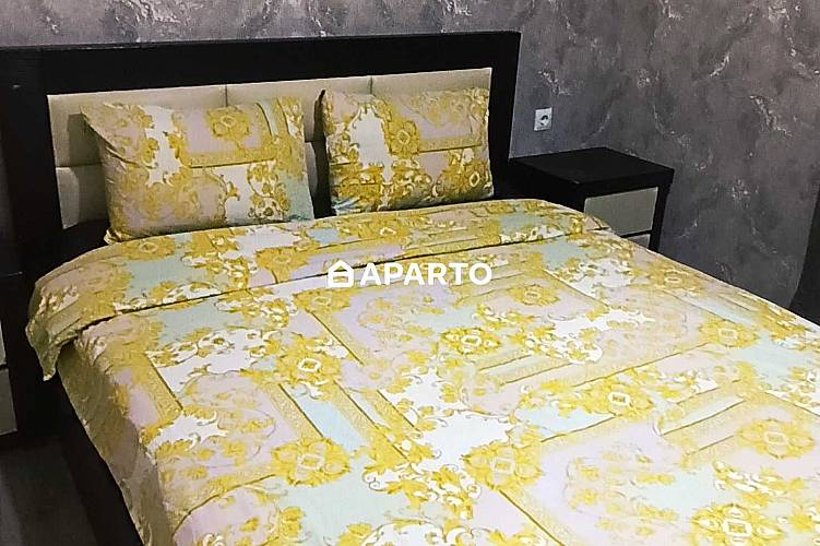 30 ლარი ღამე, ბინა დღიურად