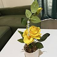 70 ლარი ღამე, ბინა დღიურად