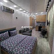 70 ლარი ღამე, ბინა დღიურად