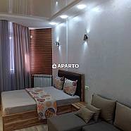 70 ლარი ღამე, ბინა დღიურად