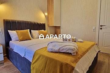 50 ლარი ღამე, ბინა დღიურად