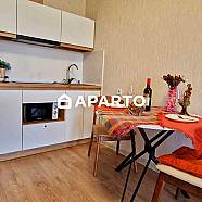 50 ლარი ღამე, ბინა დღიურად