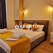 50 ლარი ღამე, ბინა დღიურად