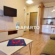 50 ლარი ღამე, ბინა დღიურად