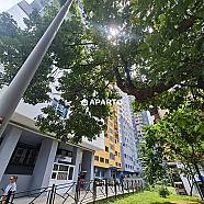 100 ლარი ღამე, ბინა დღიურად