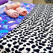 80 ლარი ღამე, ბინა დღიურად