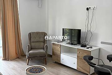 80 ლარი ღამე, ბინა დღიურად