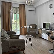 80 ლარი ღამე, ბინა დღიურად