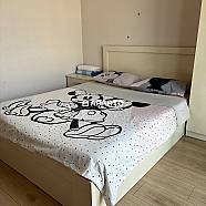 80 ლარი ღამე, ბინა დღიურად