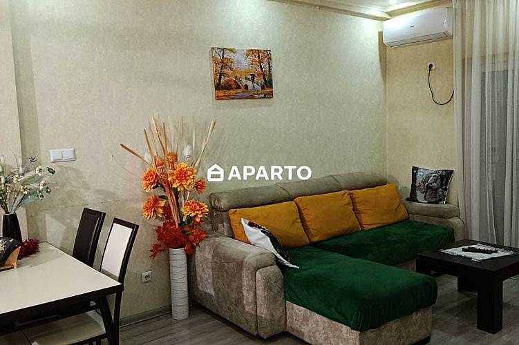 80 ლარი ღამე, ბინა დღიურად