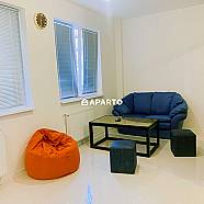 40 ლარი ღამე, ბინა დღიურად