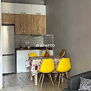 70 ლარი ღამე, ბინა დღიურად